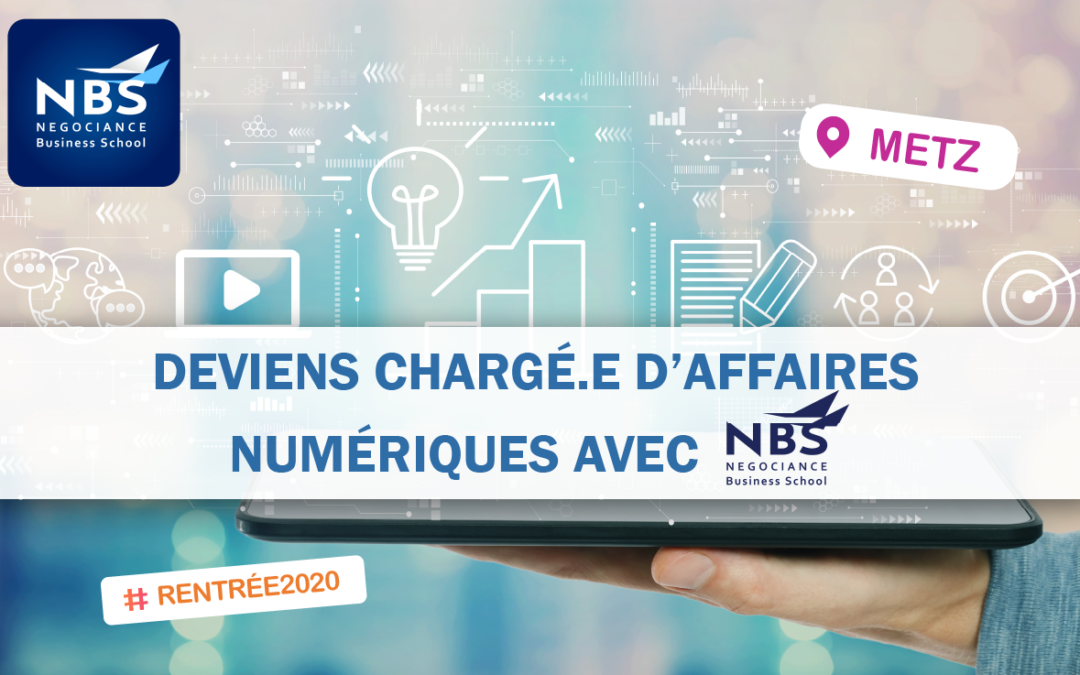 bac+3 chargé d'affaires numériques