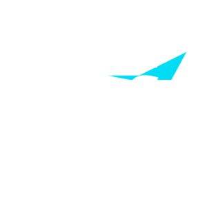 Logo NBS France