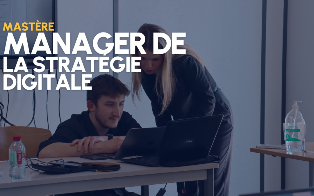 Mastère_Manager_de_la_strategie_digitale_marketing