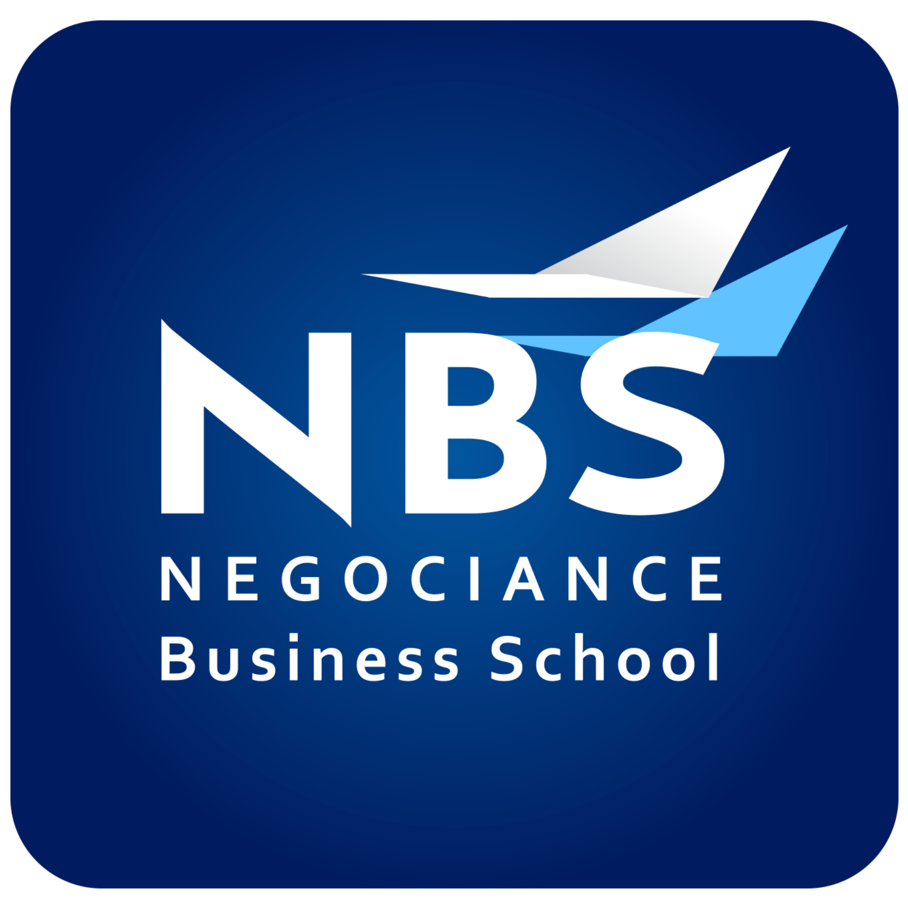 Ancien logo NBS Business School